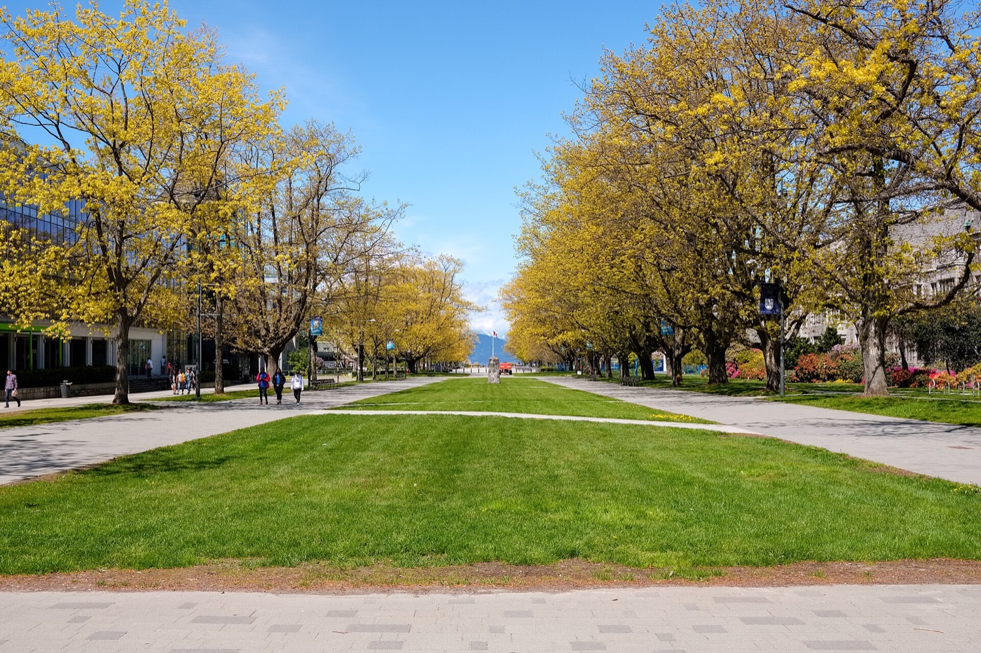 Main Mall at the University of British Columbia
